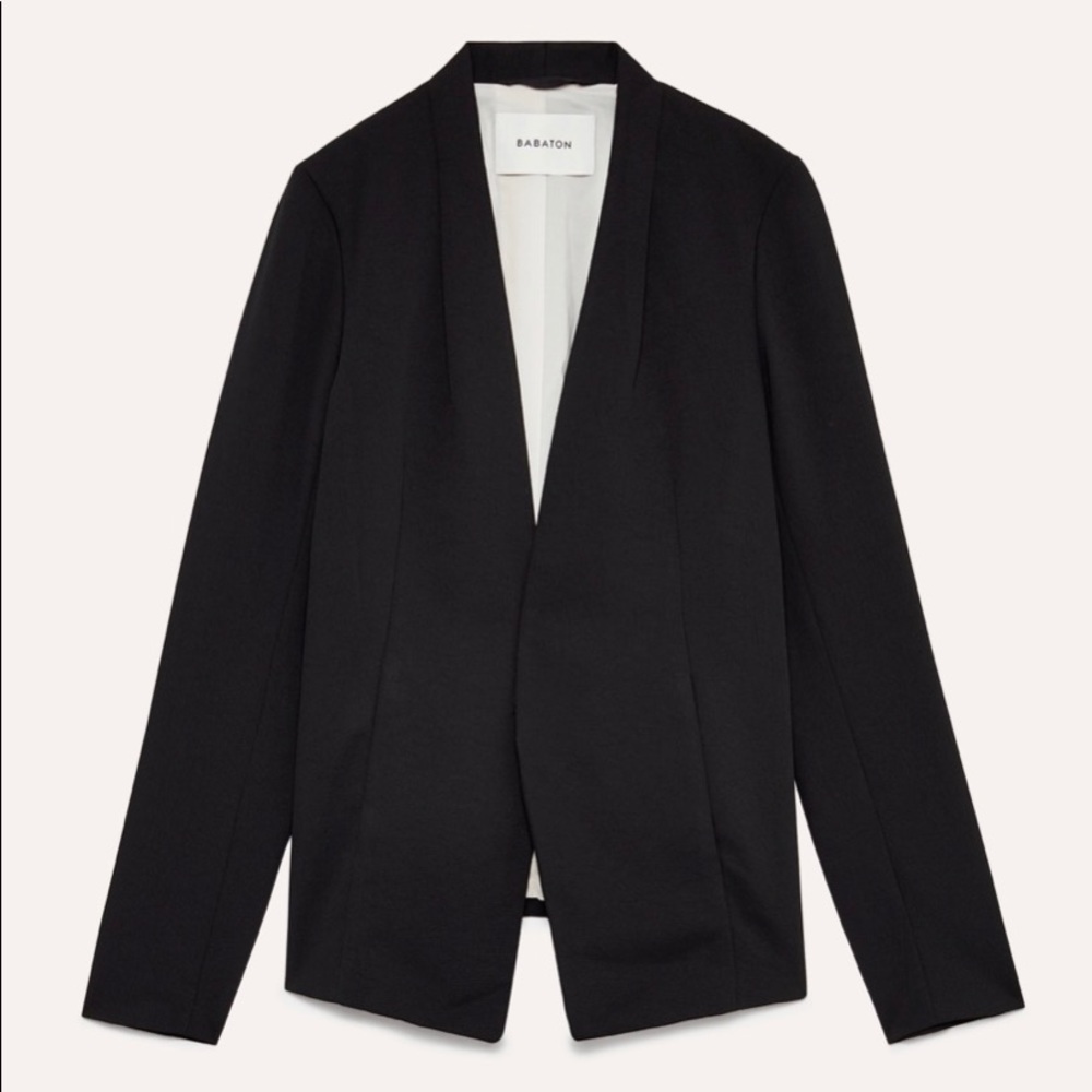 Aritzia Babaton Keith Blazer Jacket Size 6